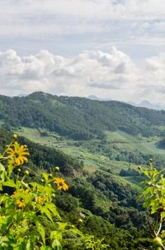 Landscape high mountain range at doi mae u ko Stock Photos