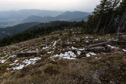 Landscape of the highest point in the Black Forest Hornisgrinde Stock Photos