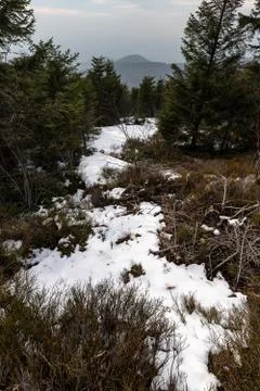 Landscape of the highest point in the Black Forest Hornisgrinde Stock Photos