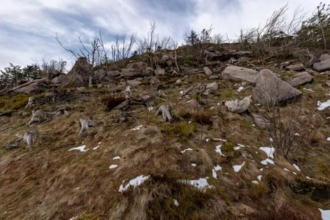 Landscape of the highest point in the Black Forest Hornisgrinde Stock Photos