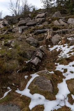Landscape of the highest point in the Black Forest Hornisgrinde Stock Photos