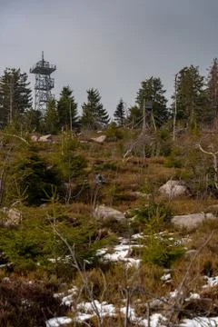 Landscape of the highest point in the Black Forest Hornisgrinde Stock Photos