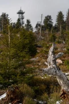 Landscape of the highest point in the Black Forest Hornisgrinde Stock Photos