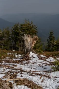 Landscape of the highest point in the Black Forest Hornisgrinde Stock Photos