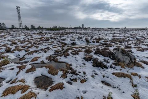 Landscape of the highest point in the Black Forest Hornisgrinde Stock Photos