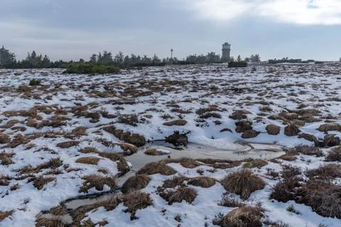 Landscape of the highest point in the Black Forest Hornisgrinde Stock Photos