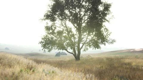 Landscape with a hill and a single tree at sunrise with warm light Stock Illustration