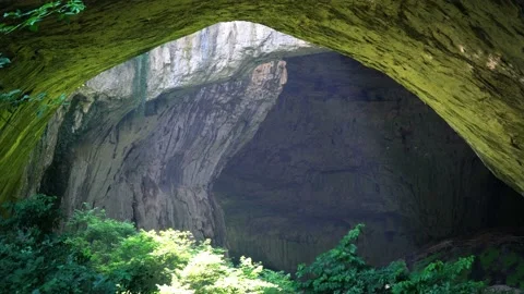 Landscape of a Huge Empty Cave with Vegetation and flying Birds and Bats Stock Footage 106400706