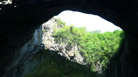 Landscape of a Huge Empty Cave with Vegetation and flying Birds and Bats Stock Footage 106401347