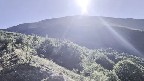 Landscape illuminated by the sun backlight Stock Footage 344968025
