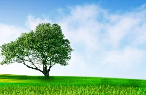 Landscape Stock Illustration