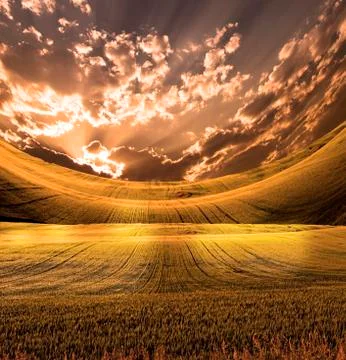 Landscape Stock Illustration