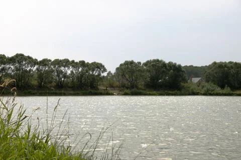 Landscape with the image of the river and trees in the background Stock Photos