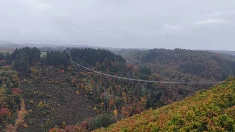 Landscape includes curved bridge and gloomy skies. Panoramic scene features Stock Footage 327915987