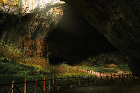 The landscape inside the cave. An ecosystem with a river and trees inside a rock Stock Photos