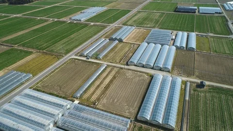 Landscape of the Japanese field Stock Footage 86144398