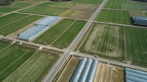 Landscape of the Japanese field Video stock 88889554