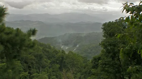 Landscape of Jungle Forest in Thailand Stock-Footage 11237387