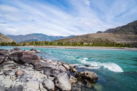 Landscape with the Katun River Stock Photos