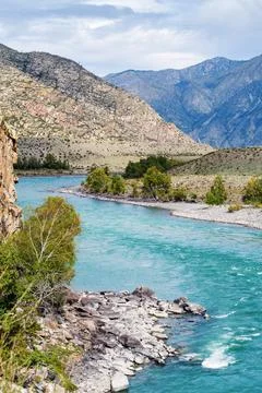 Landscape with the Katun River Stock Photos