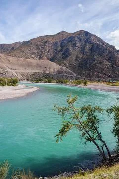 Landscape with the Katun River Stock Photos
