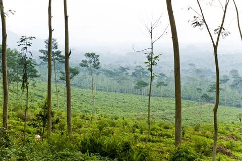 Landscape at Kawah Ijen Volcano, Java, Indonesia, Asia Stock Photos