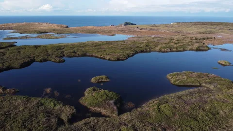 Landscape with lagoons near the cliffs Vídeo Stock 146180992