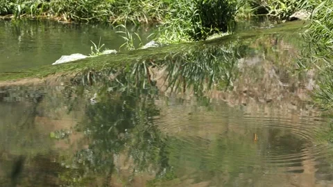 Landscape of the lake 2 Stock Footage 317949698