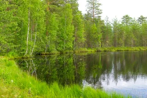 Landscape lake and forest Stock Photos