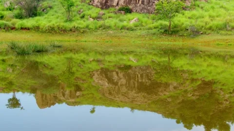 Landscape with lake and trees, reflection of rocks and trees in water Stock Footage 211032295