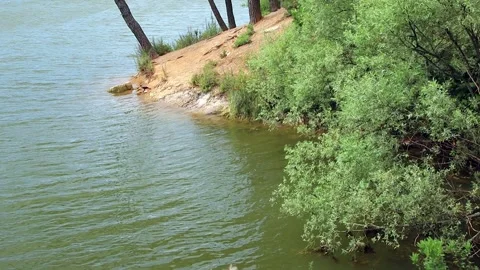 Landscape of lake beach Stock Footage 321004626