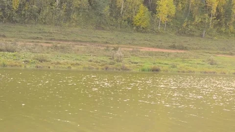 Landscape of the lake coastline,shooting from left to right. Stock Footage 140250153