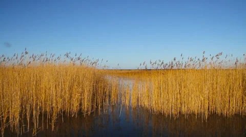Landscape with lake. Stockbeeldmateriaal 32451432