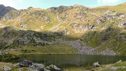 Landscape with lake. Stock Footage 83595810