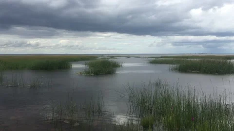 Landscape of the lake Видео 299743572