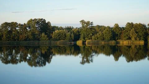 Landscape of lake in the forest. Trees reflection in the water. Stock Photos