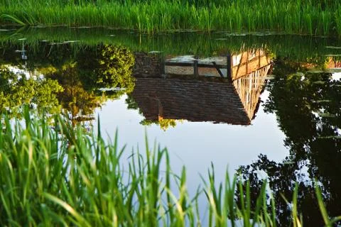 Landscape on a lake. Stock Photos