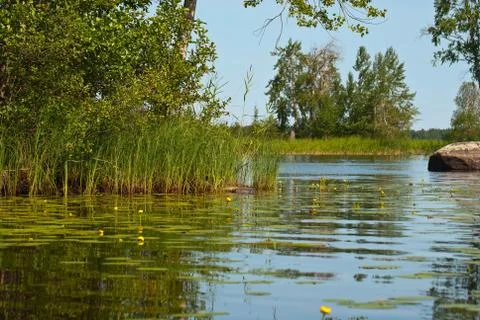 Landscape on a lake. Stock Photos