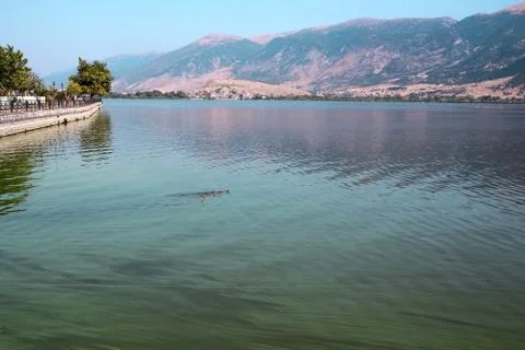Landscape of a lake Stock Photos