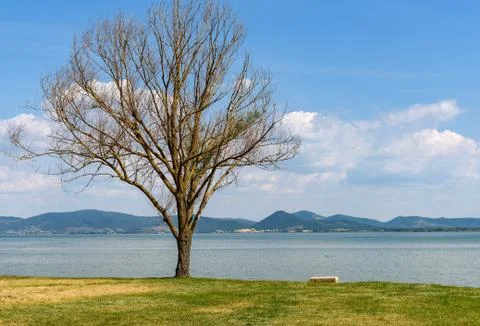 Landscape of the lake Stock Photos
