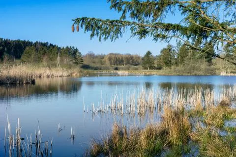 Landscape with lake Foto stock
