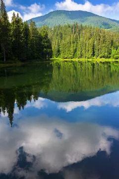 Landscape with lake Stock Photos