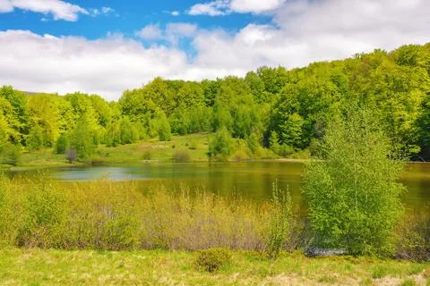 Landscape with lake Foto stock