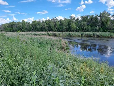 Landscape lake Stock Photos