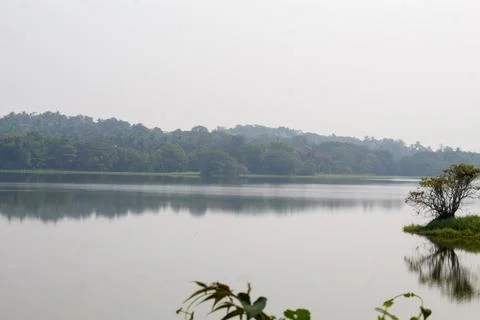 Landscape with lake Stock Photos