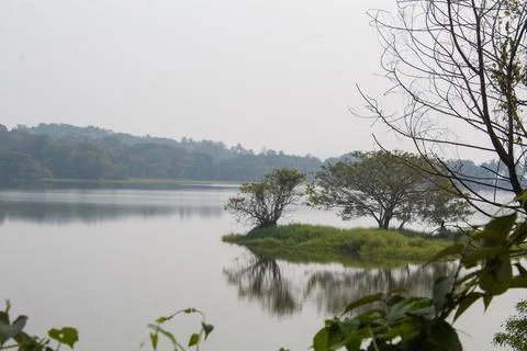Landscape with lake Stock Photos