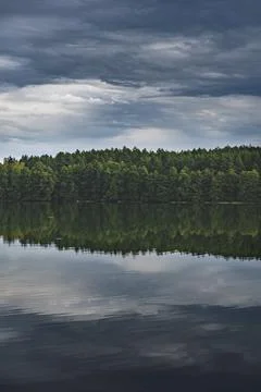 The landscape of the lake with the reflection of the forest that grows on t.. Foto stock