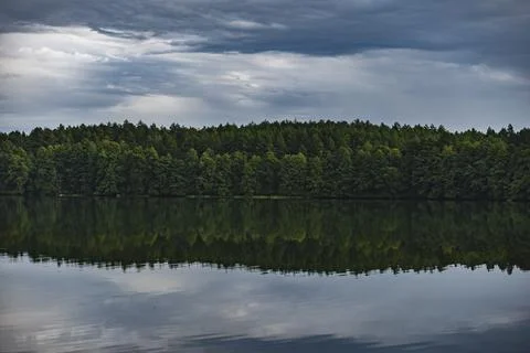 The landscape of the lake with the reflection of the forest that grows on t.. Foto stock