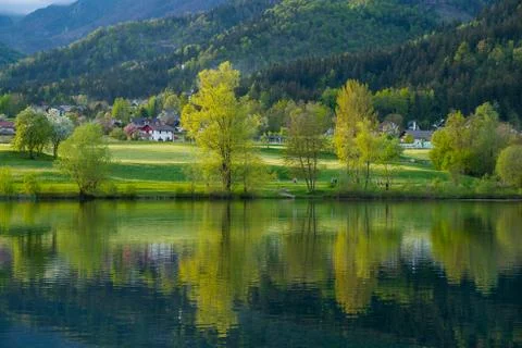 Landscape with lake reflections Stock Photos