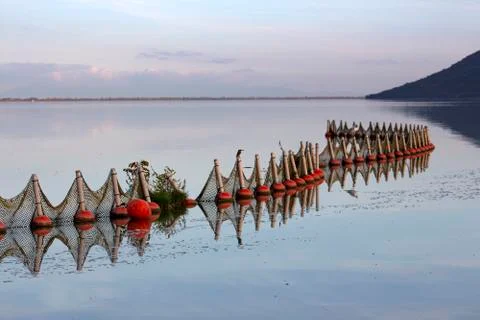 A landscape on the lake. With reflections. Stock Photos